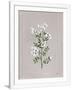 Gramercy White