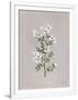Gramercy White