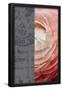 Essential Black