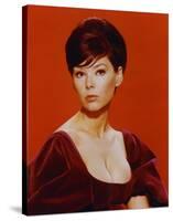 Yvonne Craig-null-Stretched Canvas