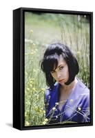 Yvonne Craig-null-Framed Stretched Canvas