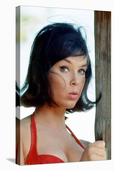 Yvonne Craig-null-Stretched Canvas