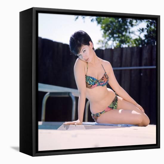 Yvonne Craig-null-Framed Stretched Canvas