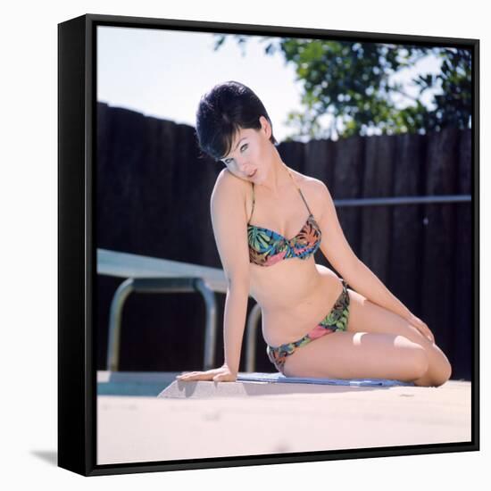 Yvonne Craig-null-Framed Stretched Canvas