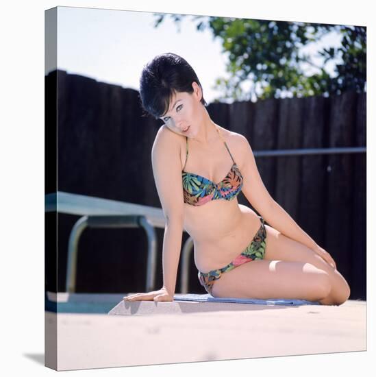 Yvonne Craig-null-Stretched Canvas