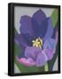 Essential Black