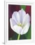 Gramercy White