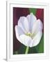 Gramercy White