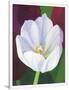 Gramercy White