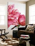 Shinning Pink Rose-Yvonne Poelstra-Holzaus-Loft Art