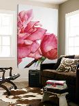 Orchid Symphony-Yvonne Poelstra-Holzaus-Loft Art