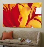 Sunshine Bloom-Yvonne Poelstra-Holzaus-Loft Art