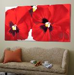 Poppy II-Yvonne Polestra-Holzhaus-Loft Art