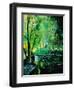 Ywoigne 45-Pol Ledent-Framed Art Print