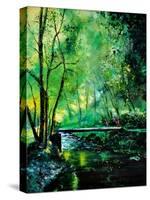 Ywoigne 45-Pol Ledent-Stretched Canvas