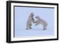 Black Frame