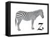 Z is for Zebra-Stacy Hsu-Framed Stretched Canvas
