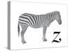 Z is for Zebra-Stacy Hsu-Stretched Canvas
