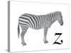 Z is for Zebra-Stacy Hsu-Stretched Canvas