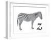 Z is for Zebra-Stacy Hsu-Framed Art Print