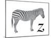 Z is for Zebra-Stacy Hsu-Mounted Art Print