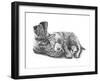 Z18 Puppy and Boot-Let Your Art Soar-Framed Giclee Print