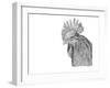 Z20 Rooster-Let Your Art Soar-Framed Giclee Print