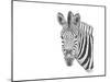 Z22 Zebra-Let Your Art Soar-Mounted Giclee Print