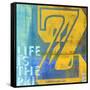 z-Cory Steffen-Framed Stretched Canvas