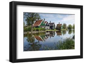 Zaanse Schans, Zaandam Near Amsterdam, Holland, the Netherlands-Gary Cook-Framed Photographic Print