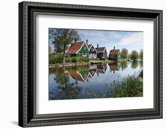 Zaanse Schans, Zaandam Near Amsterdam, Holland, the Netherlands-Gary Cook-Framed Photographic Print