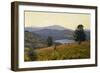 Zaca Lake-William Wendt-Framed Art Print