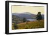 Zaca Lake-William Wendt-Framed Art Print