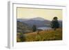 Zaca Lake-William Wendt-Framed Premium Giclee Print