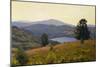 Zaca Lake-William Wendt-Mounted Premium Giclee Print