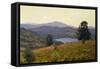 Zaca Lake-William Wendt-Framed Stretched Canvas