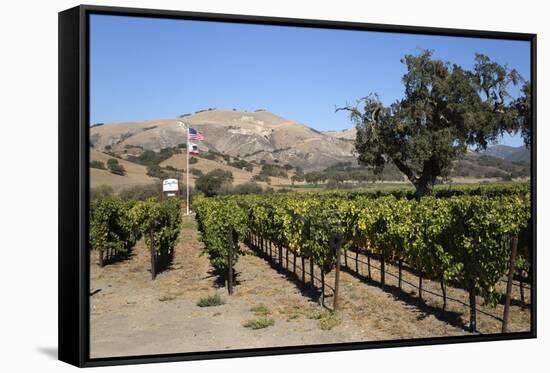 Zaca Mesa Winery and Vineyards-Stuart Black-Framed Stretched Canvas