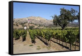 Zaca Mesa Winery and Vineyards-Stuart Black-Framed Stretched Canvas