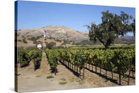Zaca Mesa Winery and Vineyards-Stuart Black-Stretched Canvas