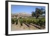 Zaca Mesa Winery and Vineyards-Stuart Black-Framed Photographic Print