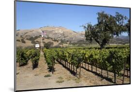 Zaca Mesa Winery and Vineyards-Stuart Black-Mounted Photographic Print