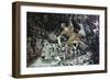 Zacchaeus in the Sycamore Tree-James Tissot-Framed Giclee Print