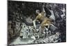 Zacchaeus in the Sycamore Tree-James Tissot-Mounted Giclee Print