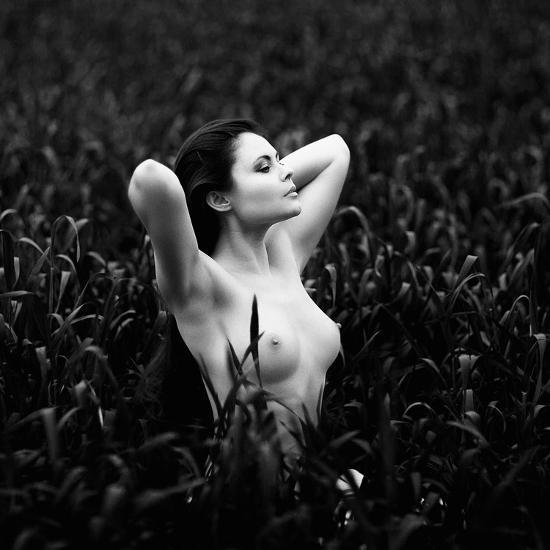Photographic Print, , large