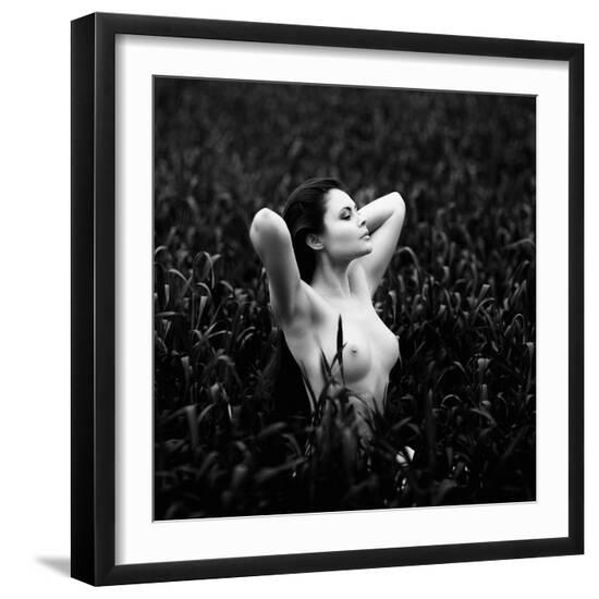 Premium Photographic Print, , large