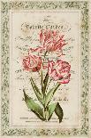 Botanic Cabinet-Zachary Alexander-Art Print