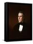 Zachary Taylor, C.1850-John Vanderlyn-Framed Stretched Canvas