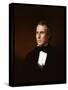 Zachary Taylor, C.1850-John Vanderlyn-Stretched Canvas