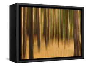 Zadel-David Baker-Framed Stretched Canvas