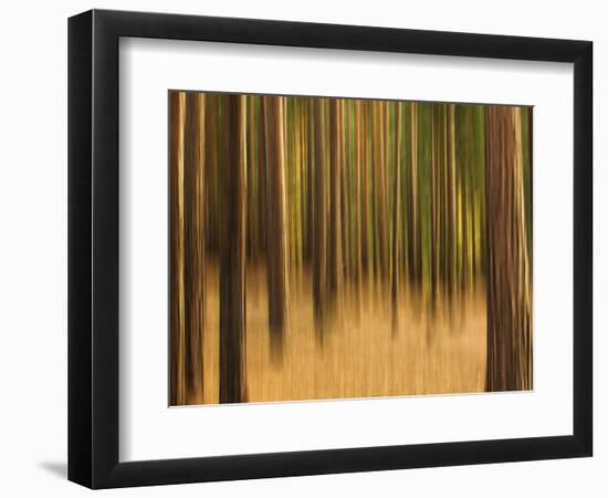 Zadel-David Baker-Framed Photographic Print